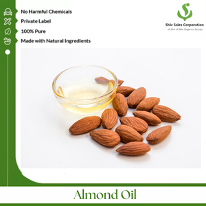 Good Quality <b>Bulk</b> Selling Halal Certified <b>Sweet</b> Almond Cold Pressed Oil Available at Best <b>Bulk</b> Price From Exporter - Product Image 4