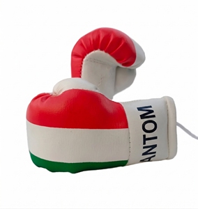 Guantes de Boxeo Profesionales con la Bandera Italiana, Rojo, Blanco y Verde, de Cuero, para Entrenamiento, Combate, MMA, Muay Thai, Sparring, para Adultos - Product Image 1