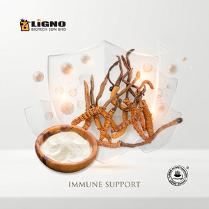 ผงตัวผลของเห็ดถั่งเช่าสีทอง LiGNO OCS02 |   อาหารเพื่อสุขภาพเกรดอาหาร อบแห้งแบบเย็น |   ส่วนผสมเครื่องดื่มสำเร็จรูปแบบปริมาณมาก - Product Image 1