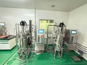 Bailun 150L fermentador a escala piloto bacterias con sistema de control avanzado reactor químico de alta calidad - Product Image 3