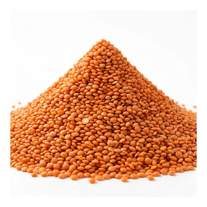 Nouvelle récolte de lentilles rouges biologiques AD séchées, origine Brésil, polies, 25 kg en vrac, durée de conservation de 2 ans - Product Image 2