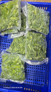 Okra entière surgelée sous vide IQF, en vrac, pour la cuisson et la restauration - CARYLN - Product Image 6