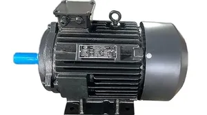 Moteur électrique triphasé 15 CV à enroulement en cuivre haute efficacité, usage industriel intensif, 1440 tr/min, montage sur pied - Product Image 3