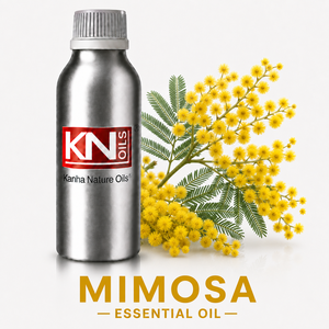 Huile Essentielle de Mimosa 100% Pure Distillée à la Vapeur d'Acacia dealbata Certifiée Biologique, Vente Chaude, Fabricant en Gros, Exportateur Mondial - Product Image 1