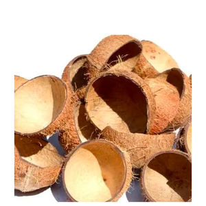 Coques de noix de coco naturelles et organiques broyées pour le compostage, l'engrais organique et l'agriculture - Product Image 6