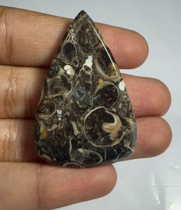 Cabochon en agate Turritella en forme de cœur, pierre précieuse minérale polie pour la fabrication de bijoux - Product Image 2