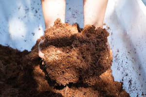 Bloc de tourbe de coco du Vietnam, conditionneur de sol à base de fibre de coco, pH acide, forte rétention d'eau, pour hydroponie, jardinage et agriculture - Product Image 4