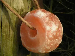 Producto de gran demanda: Sal para lamer para animales, sal para lamer para caballos, sal para lamer para ganado, con proteínas y beneficios para la vida saludable. - Product Image 2