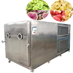Freeze Dry Machine/Flower Freeze Dryer/Vacuum Freeze Drying Equipment