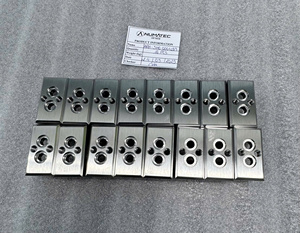OEM/ODM 20 días NUMATEC Mecanizado CNC de Alta Precisión en Vietnam, Torneado/Fresado CNC, Tamaño Personalizado, Anodizado Transparente - Product Image 1