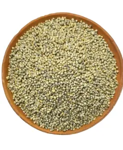 Mijo verde de alta calidad para alimentación animal listo para exportar desde India