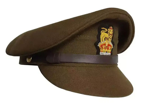 Nuevas Gorras de Visera Ajustables y Elegantes con Insignia, Gorras Profesionales Bordadas con Servicio OEM, Logotipo e Imagen Personalizados - Product Image 4