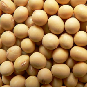 Poudre de protéines de soja de qualité supérieure, vente en gros, prête à être expédiée, qualité alimentaire, service OEM, protéines de soja naturelles pures - Product Image 3