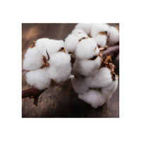 Premium 100% biologisch rauw katoen, ademend & milieuvriendelijk. Beschikbaar voor textielbedrijven en kopers.