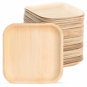 Assiettes carrées jetables compostables en fibre de palmier robustes de 10 pouces pour collations et plats rapides 2026 - Product Image 1
