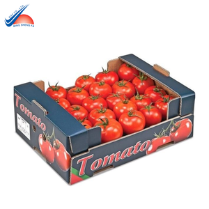 Carton d'emballage alimentaire pour fruits |   Boîte en carton ondulé de qualité export - Product Image 1