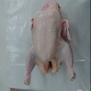 Pollo sin Hueso ni Piel de Etiqueta Limpia, Carne de Aves de Alta Calidad Procesada Higiénicamente para Exportación y Mercados Mayoristas - Product Image 5
