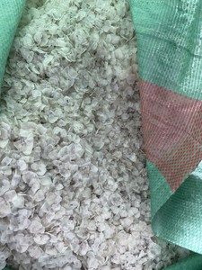 Escamas de Pescado de Calidad de Exportación, Materia Prima Marina de Grado Alimenticio, Vietnam - Product Image 6