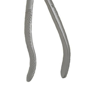 Pinzas de Extracción Manuales de Acero Inoxidable ARISTON INTERNATIONAL, Diseño Cónico Inferior Anterior, Patrón Inglés, en Venta a Bajo Precio - Product Image 3