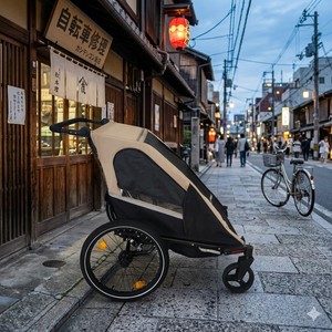Remorque-vélo-poussette-jogging 3-en-1 pour jumeaux TC-2024T avec cadre en aluminium et tissu résistant à l'eau pour les aventures en plein air - Product Image 5