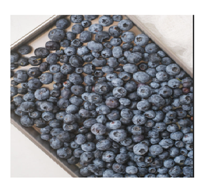 Tranches et poudres de myrtilles lyophilisées FD biologiques, emballées sous vide, en vrac, collation croustillante de fruits acidulés pour smoothies, pâtisseries et céréales - Product Image 1