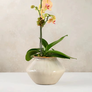 Vase en céramique ivoire élégant avec une forme sculptée large et basse, finition émaillée lisse et accent élégant pour la décoration intérieure de luxe - Product Image 1