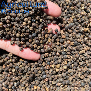 Authentique grains de poivre noir du Vietnam de haute qualité, saveur épicée audacieuse, épices gastronomiques pour la cuisson de l'usine de poivre du Vietnam - Product Image 4