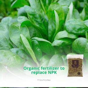 ปุ๋ยกัวโนออร์แกนิกคุณภาพสูง 1 กก. แบบเม็ด ฟอสเฟตสูง ปรับสภาพดิน บำรุงพืชธรรมชาติ ใช้ในเกษตรกรรม - Product Image 2