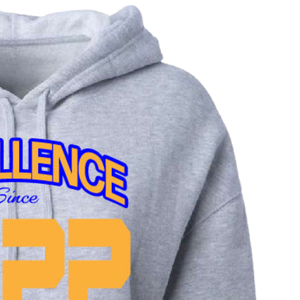 เสื้อฮู้ดครอปสำหรับผู้หญิง Custom Sigma Gamma Rho ลายตัวอักษรกรีก เสื้อสเวตเชิ้ตผ้าฟลีซ สไตล์ลำลอง แฟชั่นวิทยาลัย ขายส่ง OEM - Product Image 4