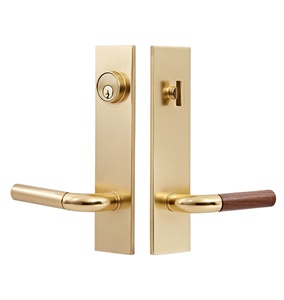 Manija de palanca doble de latón y acero inoxidable de moda para muebles del hogar, personalizable con puerta de paso y privacidad - Product Image 1