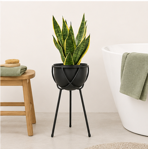 Support de plante en métal noir mat moderne avec pot rond, support de pot de fleurs surélevé minimaliste pour intérieur et extérieur - Product Image 2