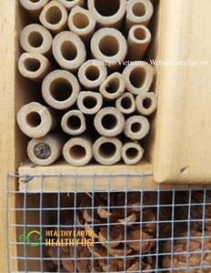 Tubos de Bambú Naturales No Tóxicos para Hoteles de Insectos |   Tubos de anidación ecológicos de tamaño personalizado y OEM de Vietnam - Product Image 6