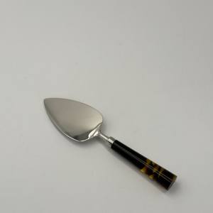 Último Diseño: Juego de Espátulas y Cortadores de Queso de Metal con Mango de Resina, Pulido Espejo para Mesa - Product Image 4