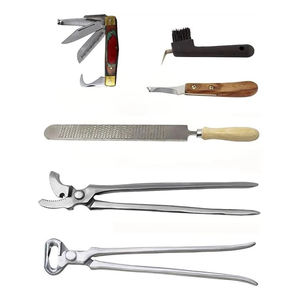 Kit de Herramientas de Herrador de Acero Inoxidable de Primera Calidad al por Mayor para el Cuidado de Pezuñas de Caballos y Perros con Instrumentos Quirúrgicos - Product Image 6