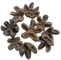 Coque de fleur botanique Kartoos, matériau végétal naturel séché, écologique, pour pot-pourri et décoration pour toutes les occasions