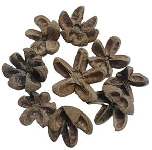 Vaina de Flor Botánica Kartoos, Material Vegetal Seco Natural, Vaina de Flor Ecológica para Potpourri y Decoración en Toda Ocasión - Product Image 4