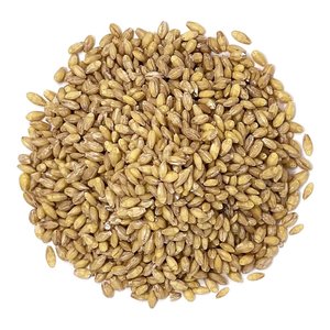 Orge biologique sélectionnée pour l'alimentation animale – Céréale séchée 100 % naturelle – Approvisionnement en vrac pour l'exportation mondiale - Product Image 1