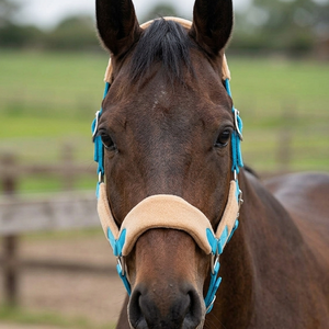 Cabestro de Cuerda Ajustable Acolchado de Felpa Premium para Caballos, con Hebillas de Acero, Accesorios Ecológicos para Caballos - Product Image 5