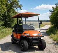 Carrito de Golf Eléctrico de 6 Plazas A617.4+2G, Funcionamiento Silencioso para Museo de Arte