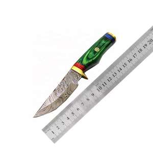 Couteau de chasse droit OEM en gros, en acier inoxydable, tranchant et durable, pour l'extérieur et la survie, avec manche en bois - Product Image 5