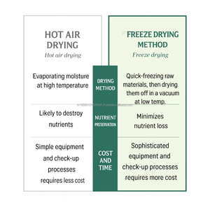 OEM Kale frisé biologique 100 pour cent Corée Superfood approvisionnement en vrac - Product Image 2