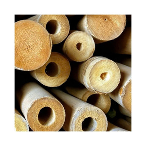 Vente en gros de poteaux en bambou vert, cubes de bambou de petit et grand diamètre, grande quantité de poteaux en bambou en provenance du Vietnam - Product Image 1