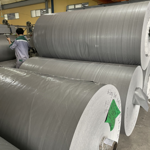 Bâche en PE argentée de qualité supérieure, très résistante, grande capacité, tailles et couleurs personnalisables pour la construction et l'agriculture - Product Image 2