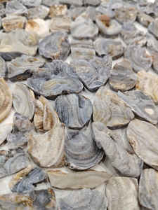 100% Natural Desert druzy Gemstone Desert druzy Cabochons Desert druzy Mix Forma y tamaño Hecho a mano Fabricación de joyas - Product Image 2