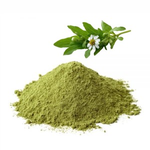 100% Pure & Natural Bhringraj Powder Fine Ground Premium Quality Eclipta Alba Powder for Supports Hair Care & Scalp Nourishment - Product Image 1