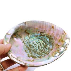 Coquilles d'ormeau polies en vrac, prix de gros, coquillages perlés, coquilles d'ormeau blanc nacré - Product Image 6