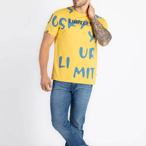 T-shirts pour hommes en coton polyester, coupe classique, manches courtes, col rond, couleur unie, poids lourd, avec logo personnalisé - Product Image 4