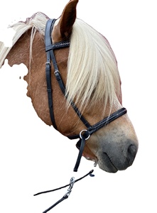 Genuine Leather Horse <b>Bit</b> Less Bridle Factory-Made Snaffle Mouth <b>Bits</b> Bridle for Equestrian Snaffle <b>Bit</b> Bridle for Horse Horse - Product Image 2