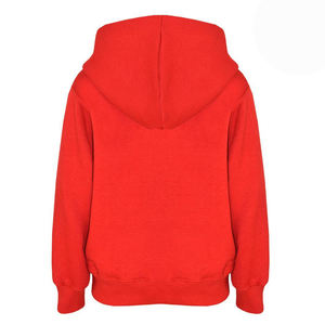 Sweat à capuche de haute qualité 100% coton, style streetwear, anti-rétrécissement, pour hommes, en vente à bas prix - Product Image 5