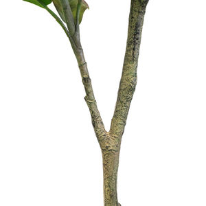 Grandes plantes artificielles vertes 170CM Résistantes aux UV Plastique écologique Arbre de simulation <span class=keywords><strong>pour</strong></span> la décoration intérieure du salon - Product Image 4
